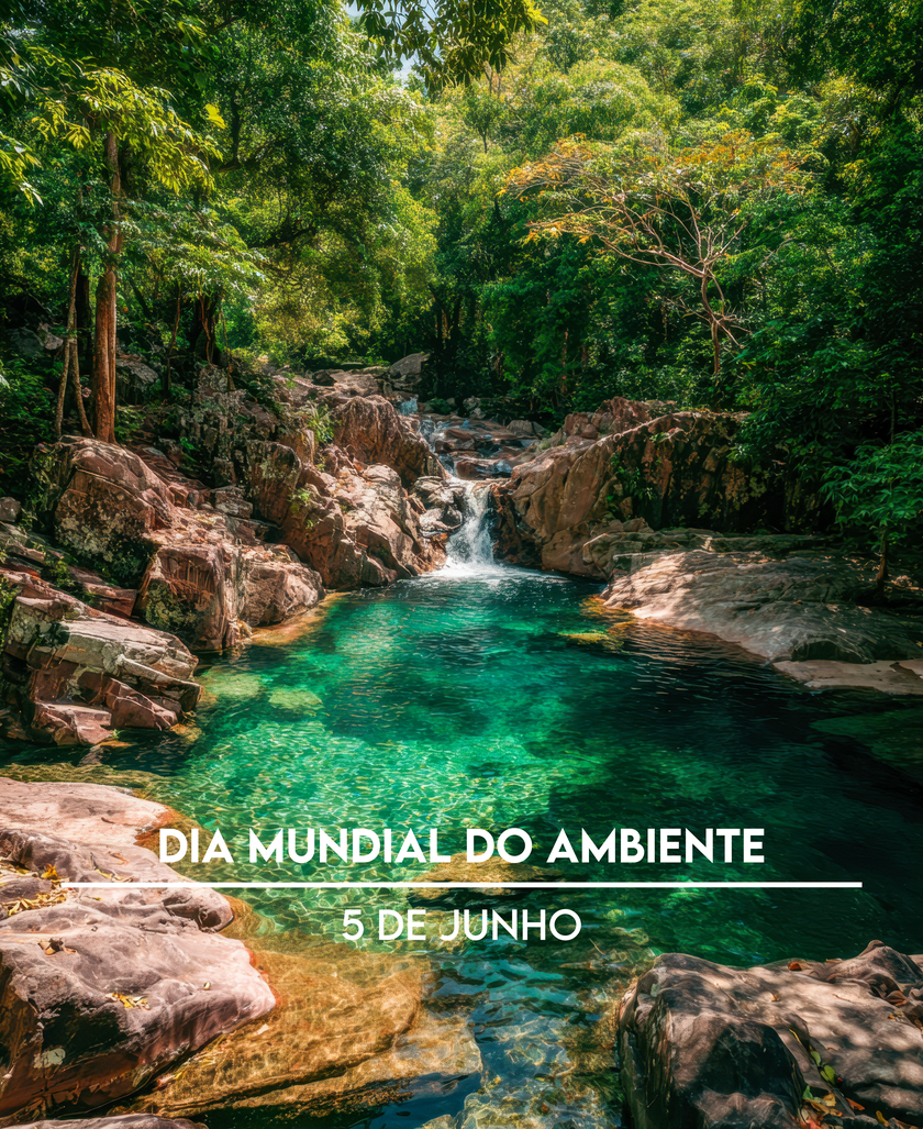 Farmácia Medeiros - Seasonal Content